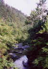 AKRiver.jpg (296914 bytes)