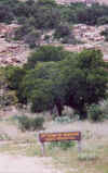 TXEnchantedDefacing.jpg (247546 bytes)